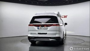 Автодом ван-кон Carnival 4 2.2 дизель 9 21 01 69,535 km дизель, фото 3