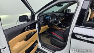 Автодом ван-кон Carnival 4 2.2 дизель 9 21 01 69,535 km дизель, фото 11