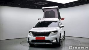 Автодом ван-кон Carnival 4 2.2 дизель 9 21 01 69,535 km дизель, фото 20