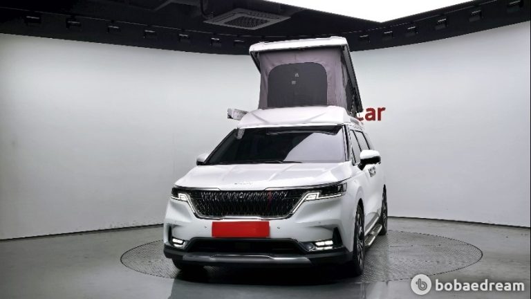 Автодом ван-кон Carnival 4 2.2 дизель 9 21 01 69,535 km дизель, фото 20