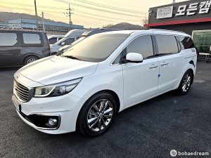 Автодом ван-кон Carnival 3.3 бензин 16 12 225,457 km бензин, фото 28