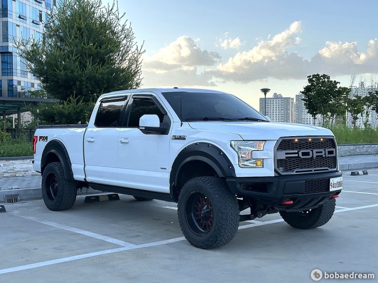 Автодом ван-кон F150 3.5 15 00 130,000 km бензин/LPG 4WD, фото 2