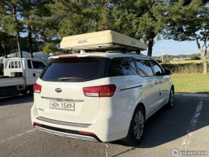 Автодом ван-кон Carnival 2.2 дизель 9 15 01 248,506 km дизель, фото 30