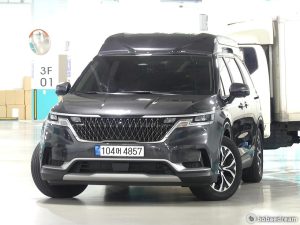 Автодом ван-кон Carnival 4 3.5 бензин 23 06 7,000 km бензин, фото 1