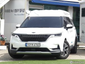Автодом ван-кон Carnival 4 2.2 дизель 9 21 05 24,800 km дизель, фото 1