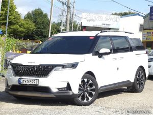 Автодом ван-кон Carnival 4 3.5 бензин 9 22 01 53,000 km бензин, фото 2
