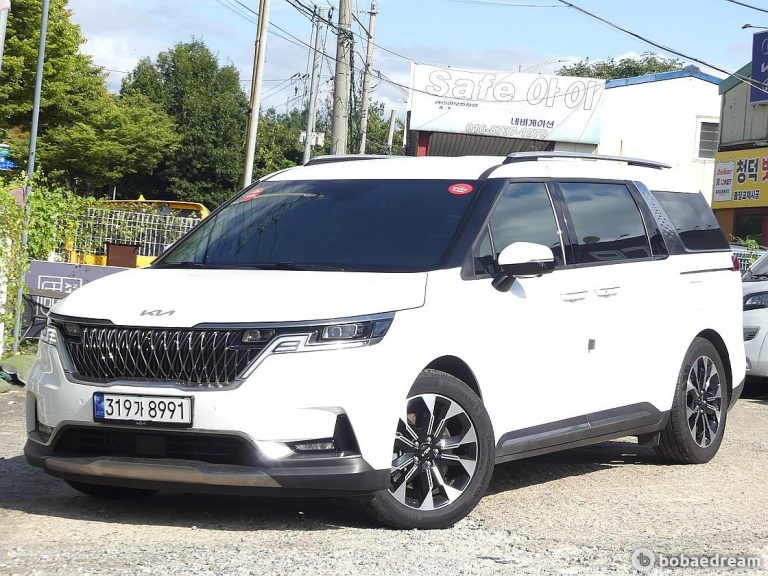 Автодом ван-кон Carnival 4 3.5 бензин 9 22 01 53,000 km бензин, фото 2