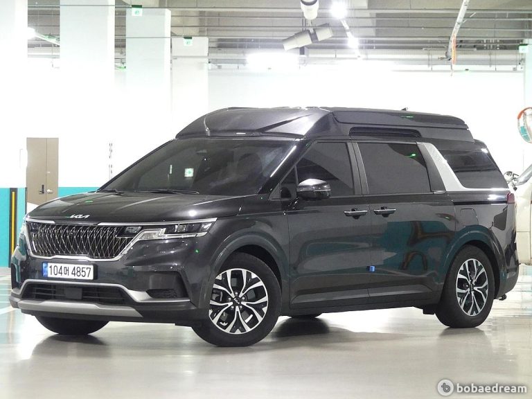 Автодом ван-кон Carnival 4 3.5 бензин 23 06 7,000 km бензин, фото 2