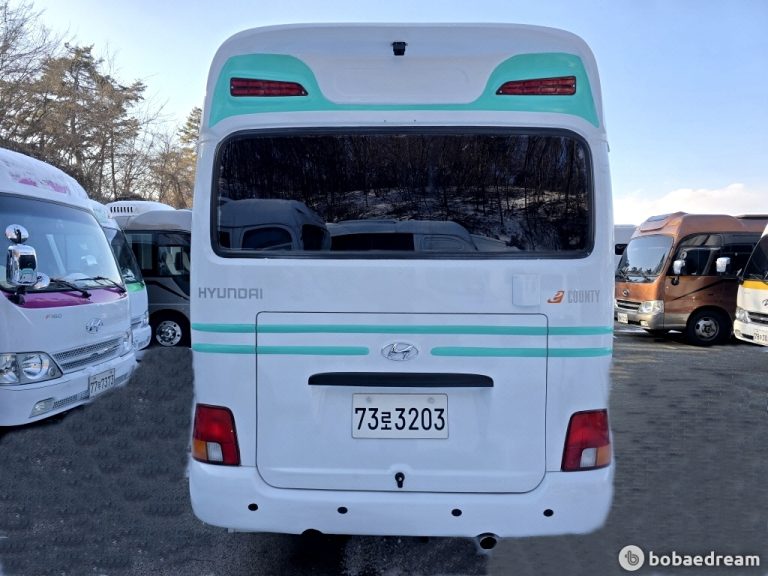 Автодом ван-кон County e 11 03 223,976 km дизель, фото 3