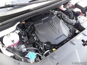 Автодом ван-кон Carnival 4 3.5 бензин 9 22 01 53,000 km бензин, фото 5