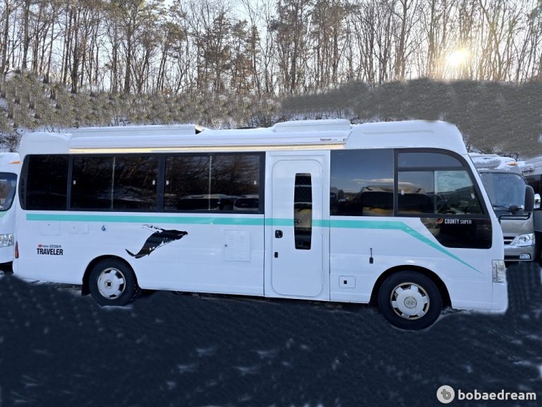 Автодом ван-кон County e 11 03 223,976 km дизель, фото 14