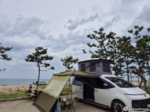Автодом ван-кон Staria 1.6 гибрид 24 04 26,400 km бензин гибрид, фото 21